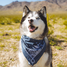 Load image into Gallery viewer, The Ridge Bandana