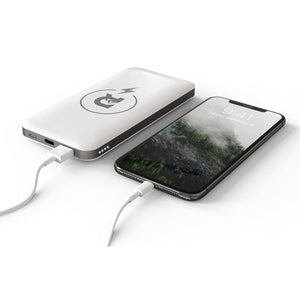 Wireless Power Bank